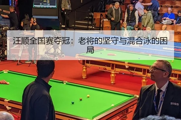 汪顺全国赛夺冠：老将的坚守与混合泳的困局